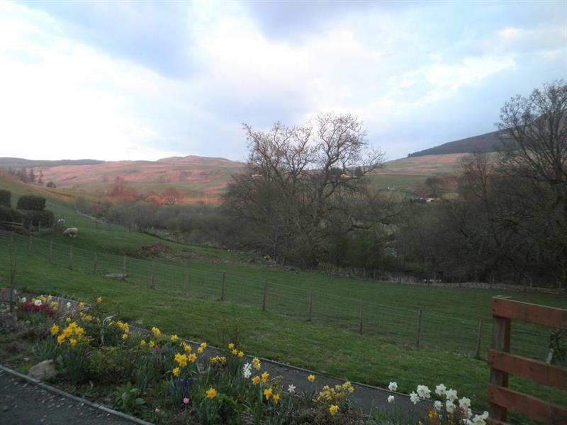 Rockfoot B&B Fintry Zewnętrze zdjęcie